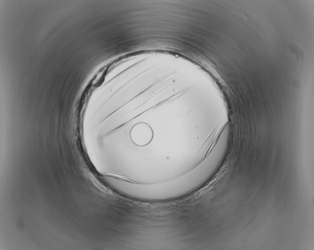X0000111231116200908131117