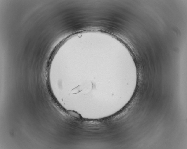 X0000111231119200908131117