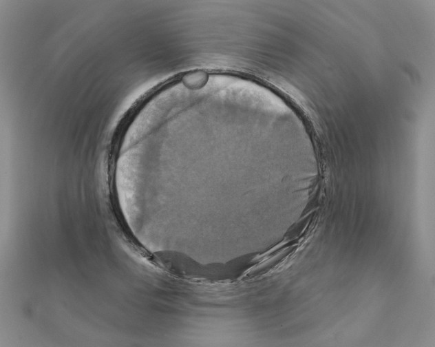 X0000111231120200908131117