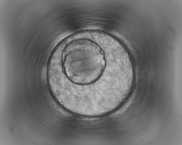 X0000111231121200908131117