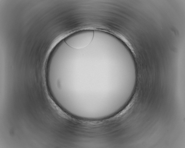 X0000111231122200908131117