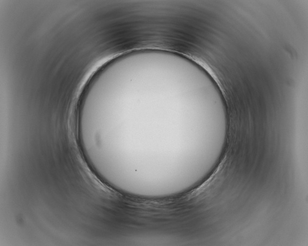 X0000111231123200908131117