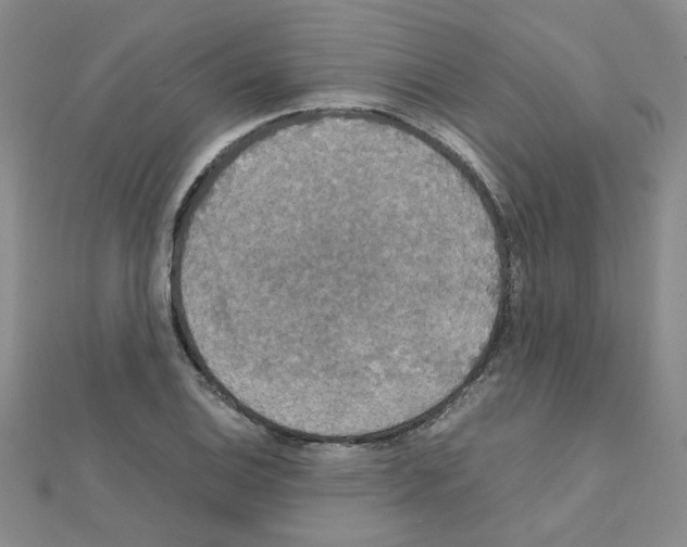 X0000111231124200908131117