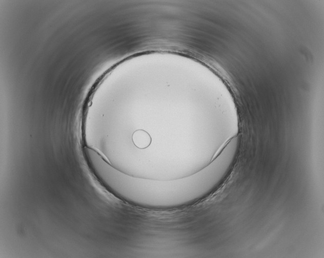 X0000111231128200908131117