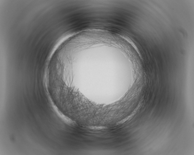 X0000111231131200908131117