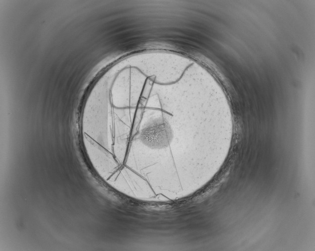 X0000111231133200908131117