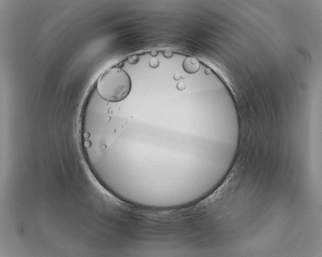 X0000111231135200908131117