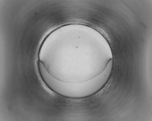 X0000111231136200908131117
