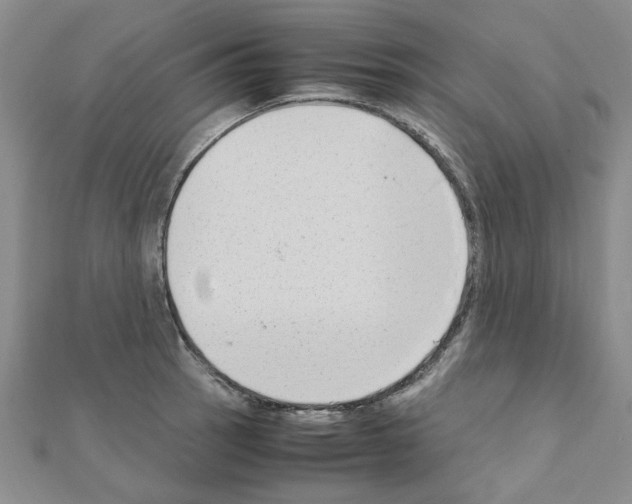 X0000111231137200908131117