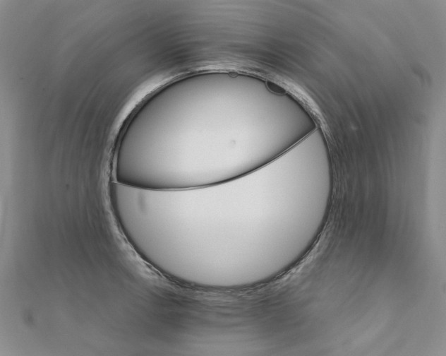 X0000111231138200908131117