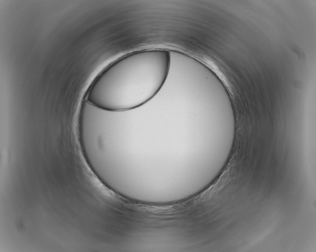 X0000111231140200908131117
