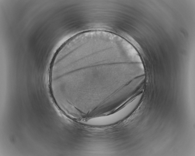 X0000111231144200908131117