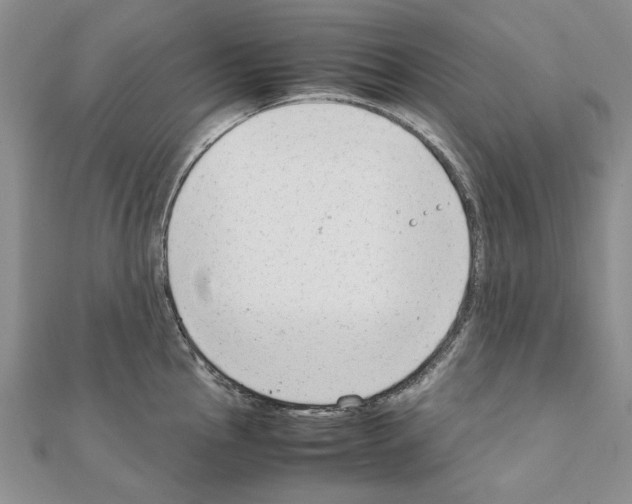 X0000111231145200908131117