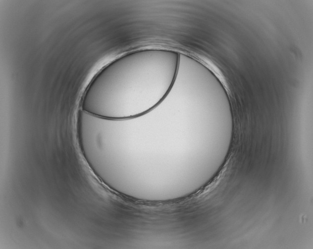X0000111231146200908131117