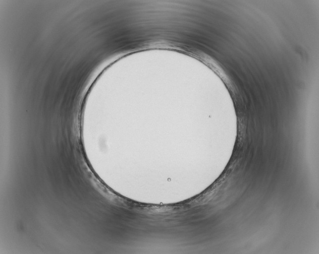 X0000111231148200908131117