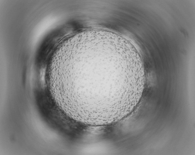 X0000111231150200908131117