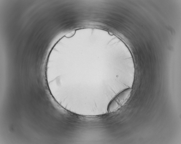 X0000111231152200908131117