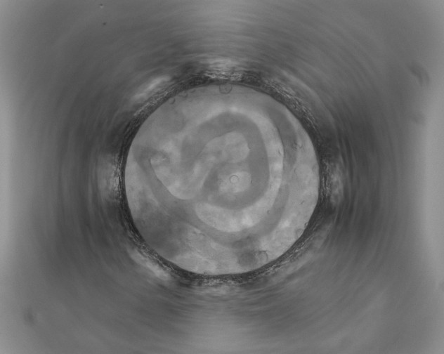 X0000111231154200908131117