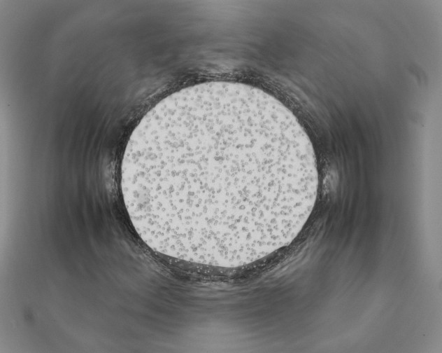 X0000111231156200908131117