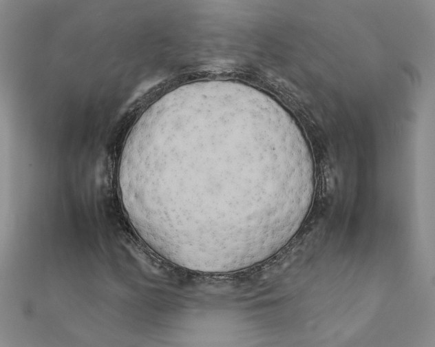 X0000111231158200908131117