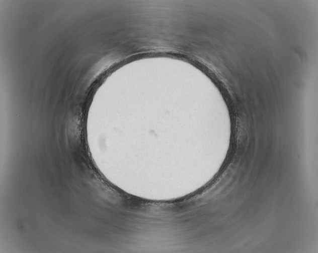 X0000111231163200908131117
