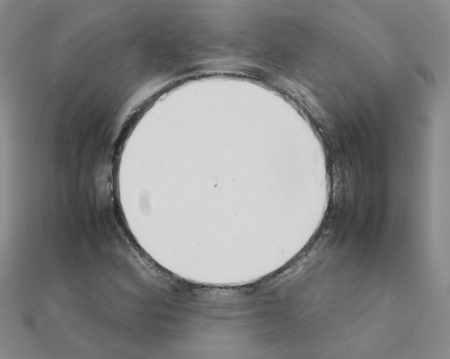 X0000111231164200908131117