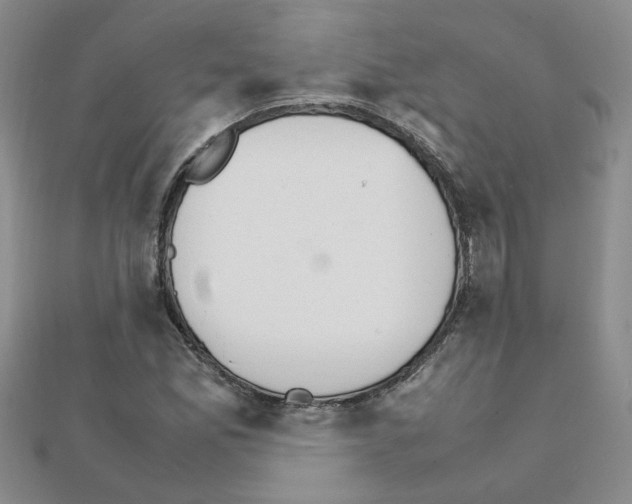 X0000111231165200908131117