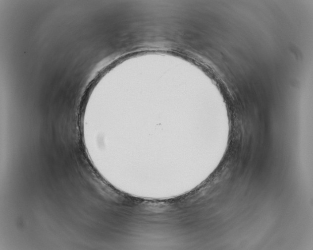 X0000111231168200908131117