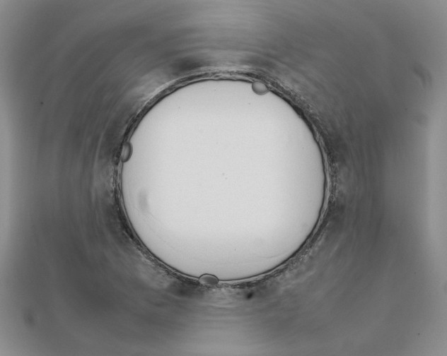 X0000111231169200908131116