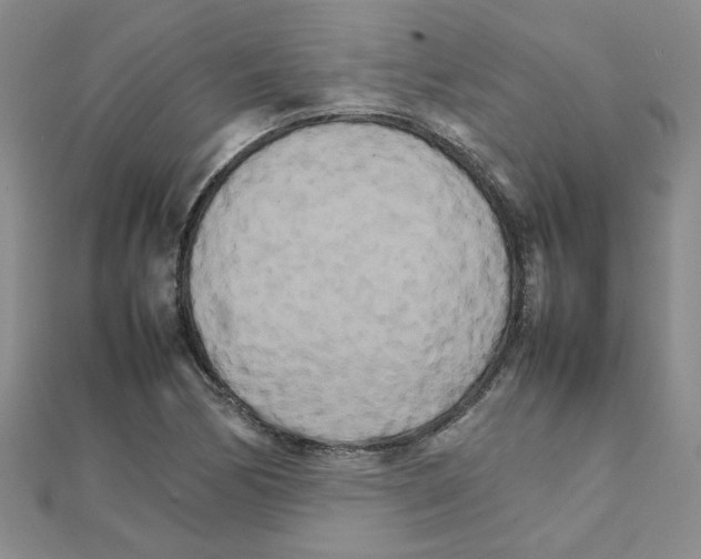 X0000111231170200908131116