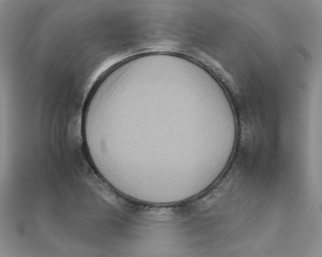 X0000111231174200908131116