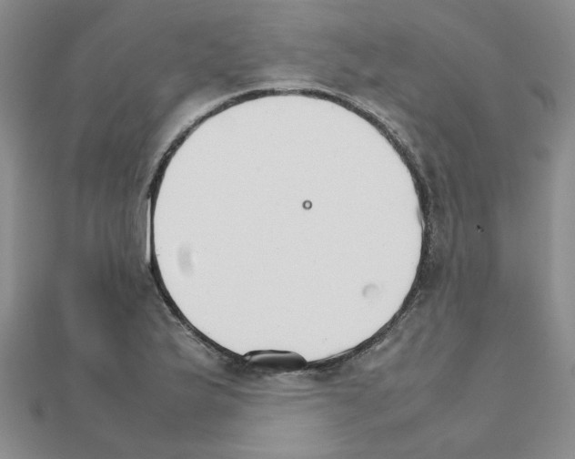 X0000111231175200908131116