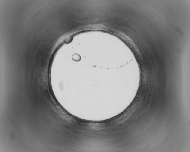X0000111231176200908131116