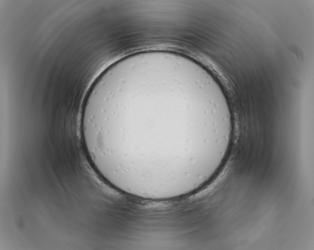 X0000111231178200908131116