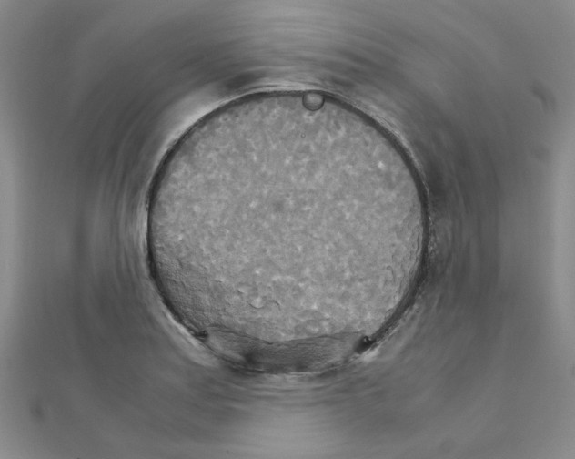 X0000111231179200908131116