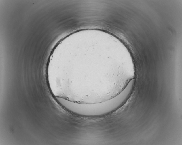 X0000111231181200908131116