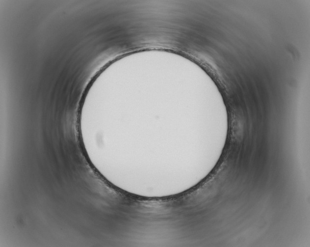 X0000111231182200908131116