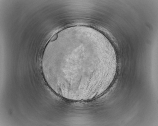 X0000111231185200908131116