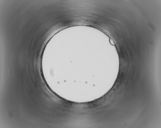 X0000111231187200908131116