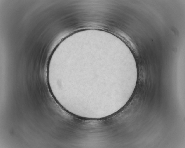X0000111231188200908131116