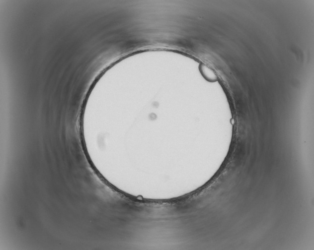 X0000111231189200908131116