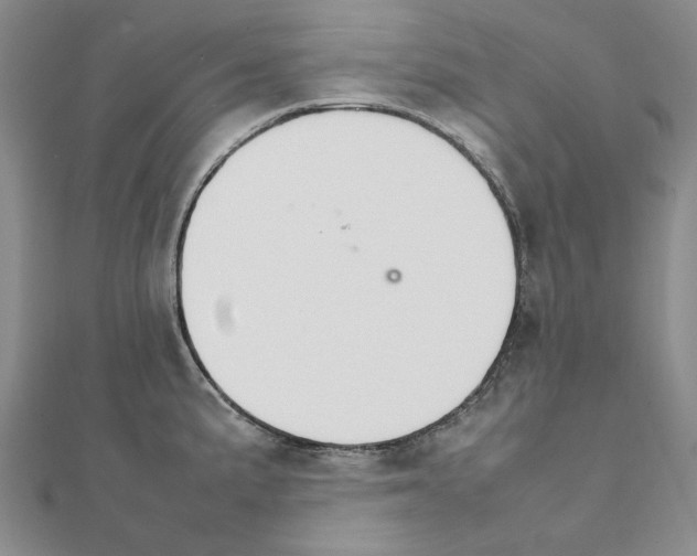 X0000111231191200908131116