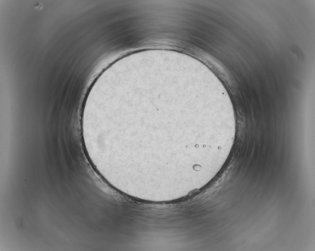 X0000111231192200908131116