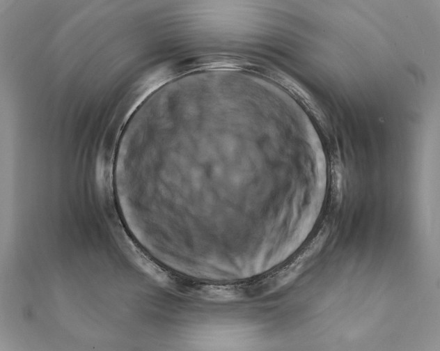 X0000111231194200908131116