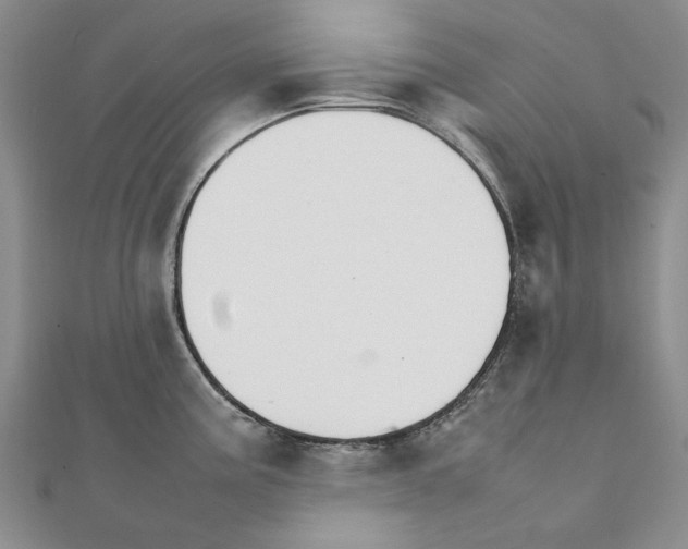 X0000111231195200908131116