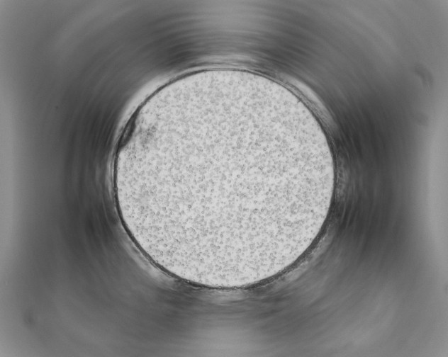 X0000111231196200908131116