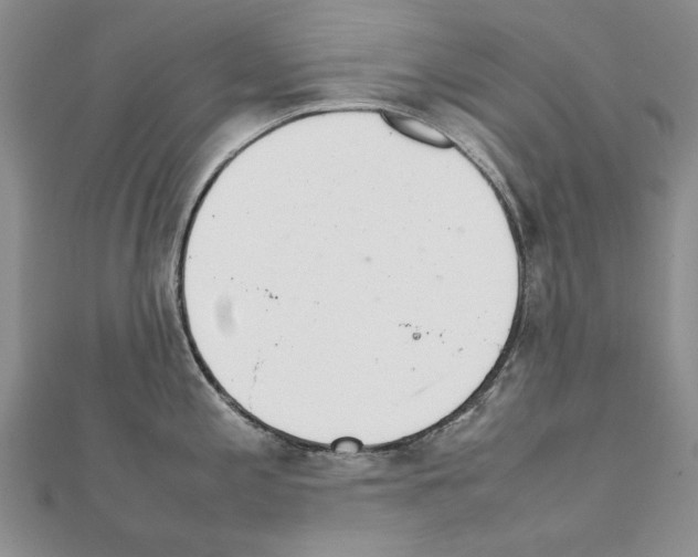 X0000111231197200908131116