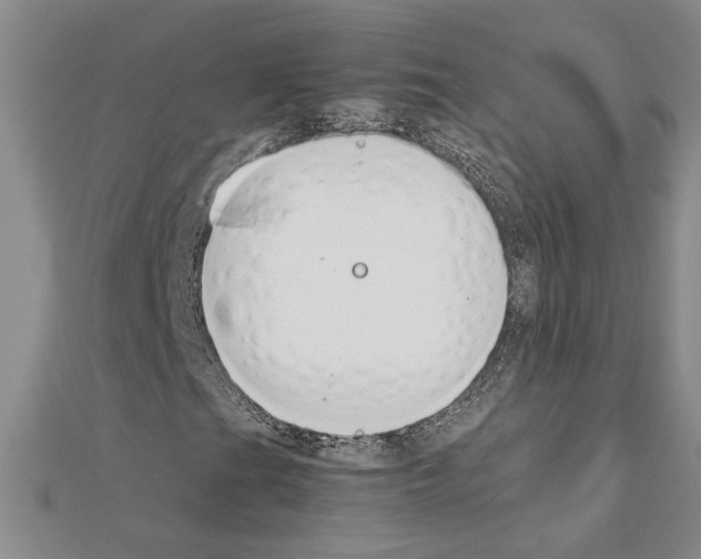 X0000111231201200908131115