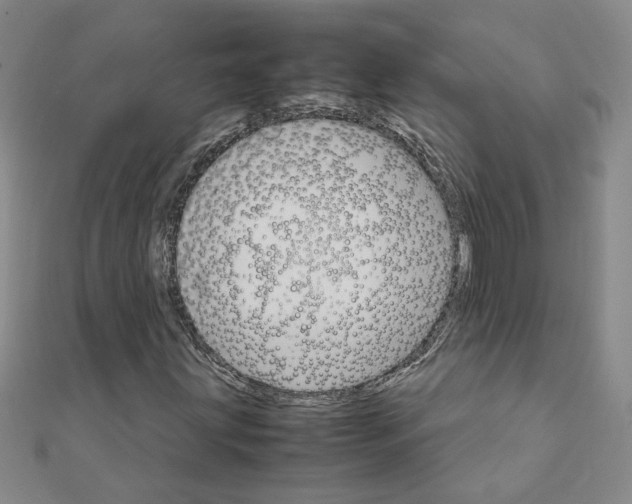 X0000111231203200908131116