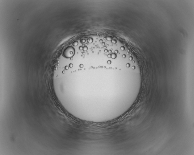 X0000111231206200908131116